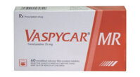 Vaspycar MR 35mg điều trị chứng đau thắt ngực ổn định  – CÔNG TY CỔ PHẦN NHÀ THUỐC NHÂN DÂN – PHƯỢNG HOÀNG