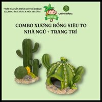 Vật dụng hamster - Combo xương rồng + nhà ngủ trang trí chuồng cho hamster