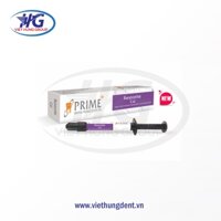 Vật Liệu Che Tủy Răng Dạng PASTE (RESTORITE CAL) PRIME - VIỆT HÙNG GROUPS