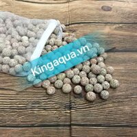 Vật liệu lọc Bio Ball (100g)
