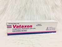 Vataxon thuốc bôi chàm, vẩy nến, lupus ban đỏ