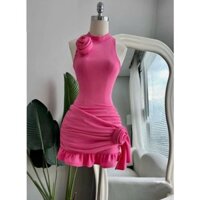 Váy body đính hoa chân béo 4 màu  (SN049)
