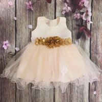 Váy công chúa bé gái ( đẹp xuất sắc)