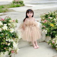 Váy công chúa cho bé gái 1-2 tuổi