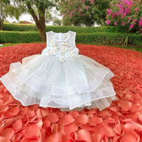 Váy công chúa cho bé gái 1-2 tuổi