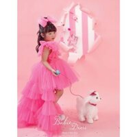 Váy công chúa cho bé gái đầm Barbie Dress - đầm công chúa cho bé dự tiệc dạo phố