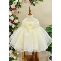 Váy công chúa hai dây hoa hồng kem