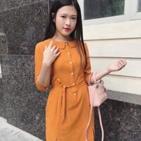 Váy công sở rosara