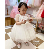 Váy đầm công chúa voan mềm đính ren hoa cho bé mặc thôi nôi dự tiệc chụp ảnh