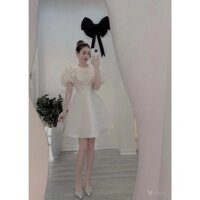 Váy dự tiệc gấm ren hoa gấm sang chảnh đính nơ cổ