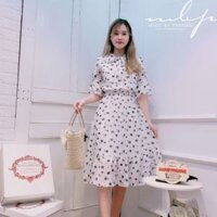 Váy họa tiết sao bling bling