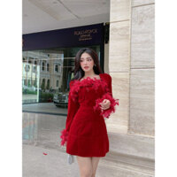 VÁY NHUNG CÚP ĐÍNH LÔNG VŨ TAY DÀI + ÁO KHOÁC LỬNG 121123