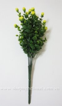 Vảy ốc điểm nụ