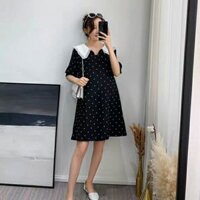 Váy suông tiểu thư chấm bi phối cổ bèo