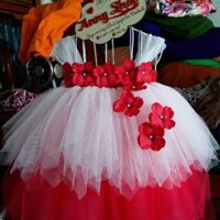 Váy tutu cho bé.