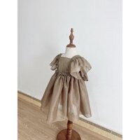 Váy von luạ hàng thiết kế cho bé gái