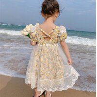 (VAY22) Váy bé gái, váy tiểu thư cho bé, chất thô hoa nhí,phối ren, từ 8-22kg