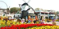 Vé Everland Shuttle Bus - xe đưa đón công viên Everland 2 chiều (khởi hành từ Seoul)