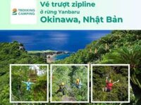 Vé Trượt Zipline Xuyên Rừng Yanbaru Ở Okinawa, Nhật Bản