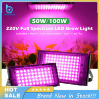 Veecome Led Full Spectrum Grow Light 220v 50w 100w Đèn trồng cây cho cây thủy canh trong nhà