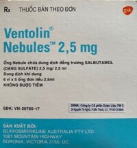 VENTOLIN NEBULES 2,5 mg/2,5 ml H/30 ống