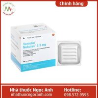 Ventolin Nebules 2,5mg