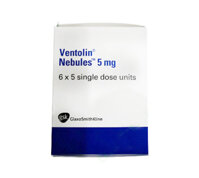 VENTOLIN NEBULES 5MG/2.5ML