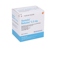 Ventolin Nebules Salbutamol 2.5mg GSK (H/6v/5o)