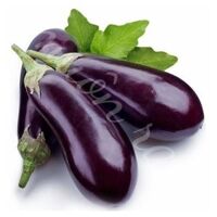 VE.R- Baby Eggplant (Cà tím baby) -NT