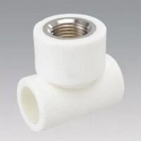 Vesbo - Măng sông ren trong PPR 25 * 1/2 (15)