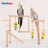 Vẹt Vẹt Đế Chơi Cho Lovebird Parakeet Cockatiel