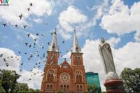 VF123: Tour Du Lịch Sài Gòn - Núi Bà Đen -  Tòa Thánh Cao Đài - Địa Đạo Củ Chi - Mỹ Tho - Bến Tre 3 Ngày | KH Từ Hà Nội