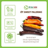 VG FARM Ớt trái cây Sweet Palermo, Ớt sừng ngọt Đà Lạt VIP - không cay, không hăng, có vị giòn, ngọt và mọng nước