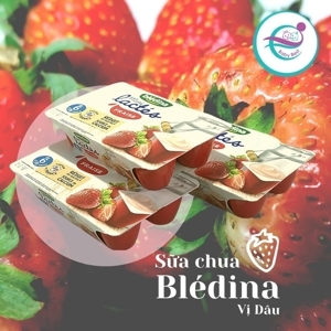 Vỉ 4h sữa chua Bledina vị dâu (6m+)