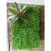 Vỉ cỏ nhựa - 4 tấm mắt trâu/ tai chuột 308, 3 cây giả trang trí tường cây giả