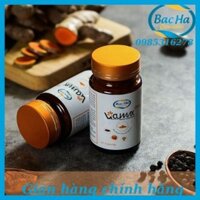 Vi-cumax Plus Nano curcumin hộp 35 gam (nano nghệ tam thất tiêu đen)