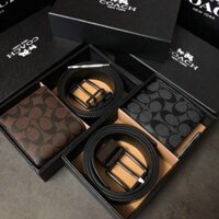 ví nam thanh lịch