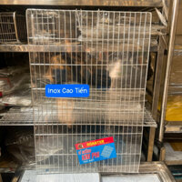 Vỉ nướng Inox hàng chất lượng , giá tốt