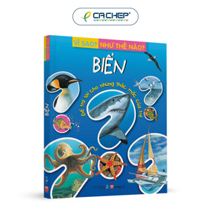 Vì sao? Như thế nào ? Biển - Để trả lời những thắc mắc của trẻ - Nhiều tác giả (Bộ 5 cuốn)