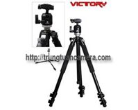 Victory 3080 giá rẻ nhất