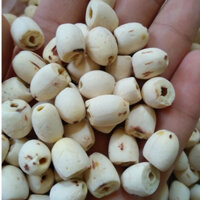 [Video] 500gr Hạt sen khô Hưng Yên bở thơm, sấy mộc