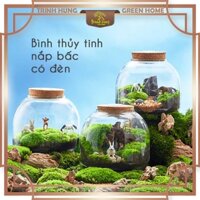 [VIDEO+ẢNH thực tế] Bình thủy tinh tròn nắp bấc có đèn - setup bề terrarium, bể nuôi cá, tiểu cảnh khô
