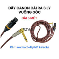 (VIDEO) Dây cáp cao cấp cho micro có dây (Dây XLR cái ra 6 ly/6.5mm) - Phụ kiện âm thanh ampli, mixer, loa kéo, vang