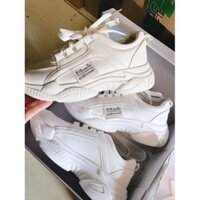 [VIDEO] Giày Thể Thao Sneaker Nữ Màu Trắng  Dáng Basic Đế Độn 5cm