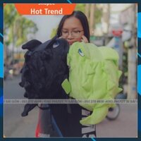 Video Test - Balo đi phượt siêu cute hình con khủng long vải nhung màu xanh dạ quang - Balo khủng long