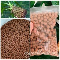 Viên Đất Nung (Sỏi Nhẹ)