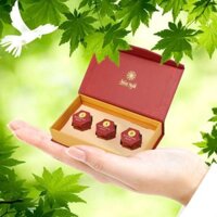 Viên đặt phụ khoa Silent Night vệ sinh âm đạo, ngăn ngừa và hỗ trợ trị viêm nhiễm phụ khoa