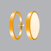 VIỀN ĐÈN LED ỐP TRẦN BD35-G