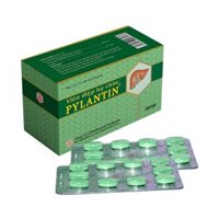 Viên diệp hạ châu PYLANTIN®