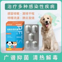 Viên Doxycycline dùng cho thú y ở mèo có đặc tính kháng khuẩn lạnh tiêu chuẩn quốc gia mm889886.my20240927